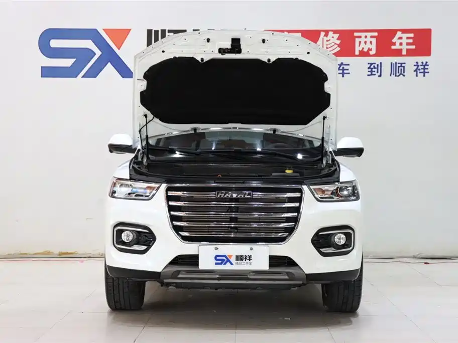 Haval H6 2020 1.5GDIT Automatic Platinum Luxury Edition фото 18