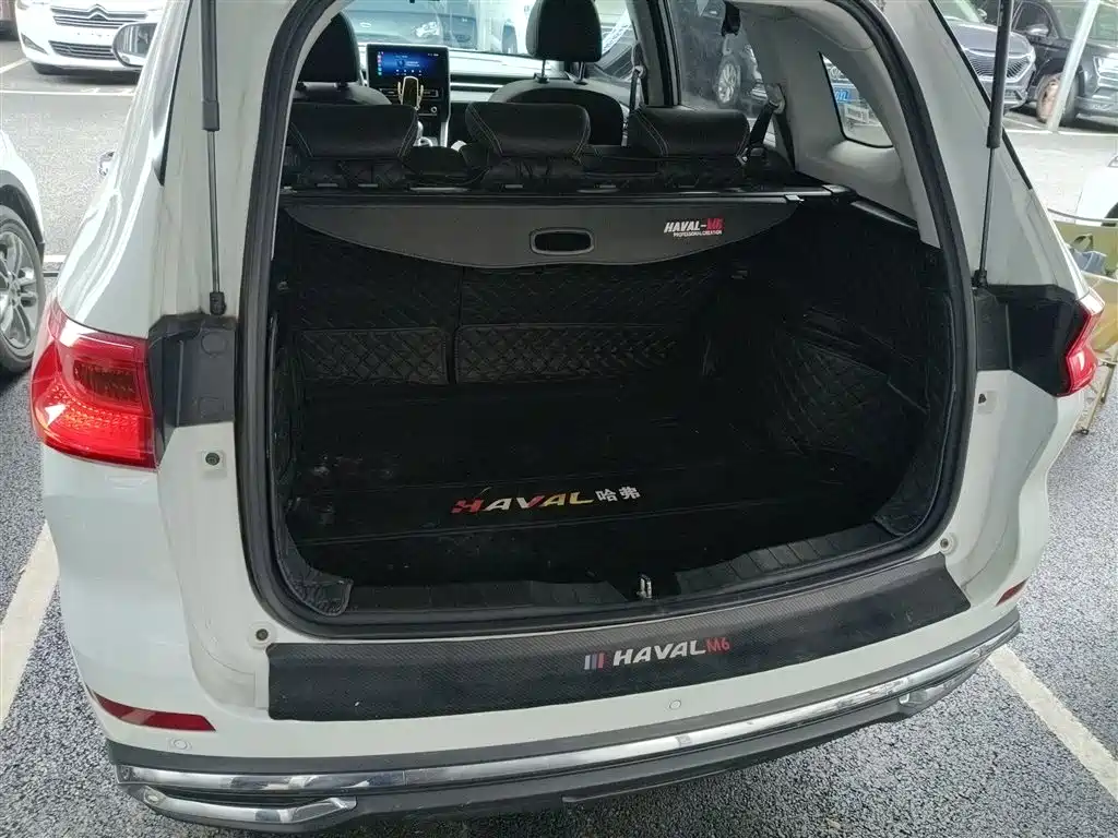 Haval M6 2021 PLUS 1.5T Manual Luxury Smart Connect фото 15