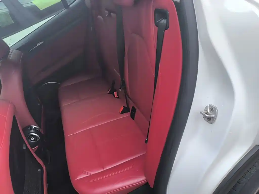 Alfa Romeo Stelvio 2019 2017 2.0T 200HP Elite