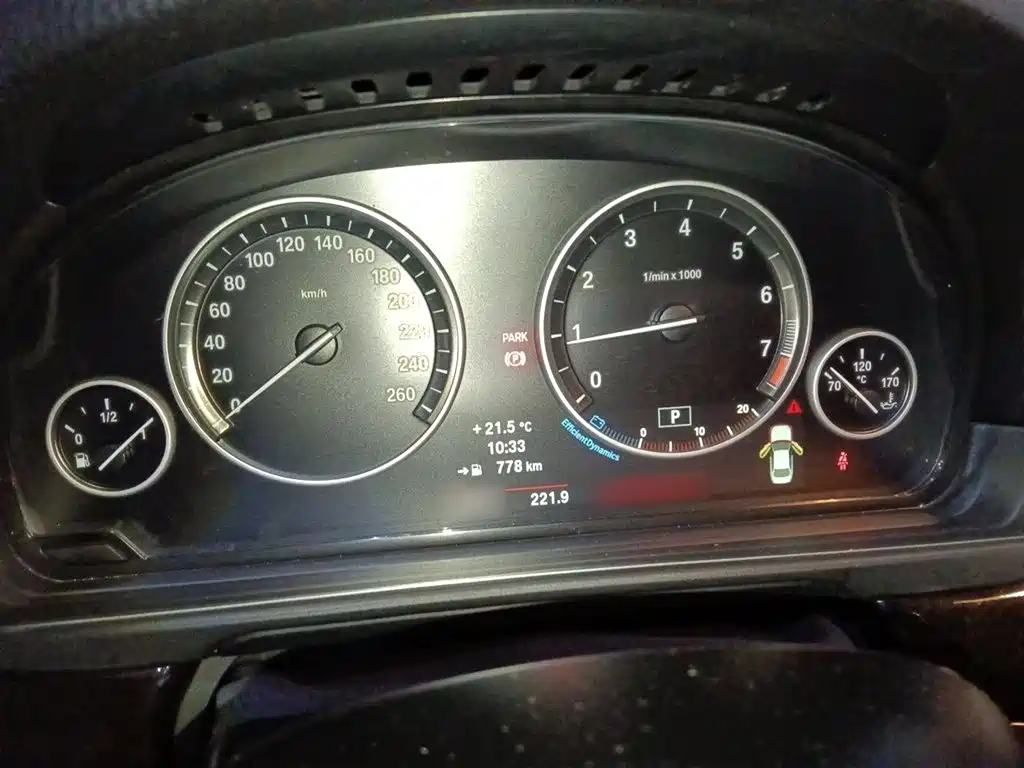BMW 5 Series 2014 525Li Leading фото 4