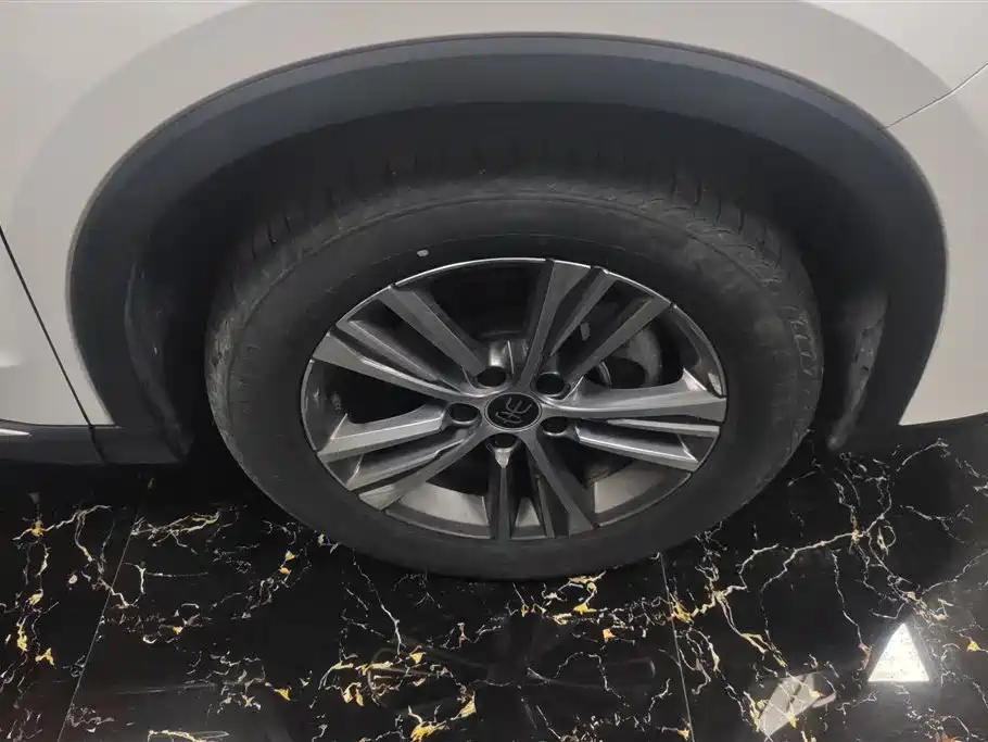 BYD Song Pro 2021 1.5T Automatic Xiaoyun Luxury фото 6