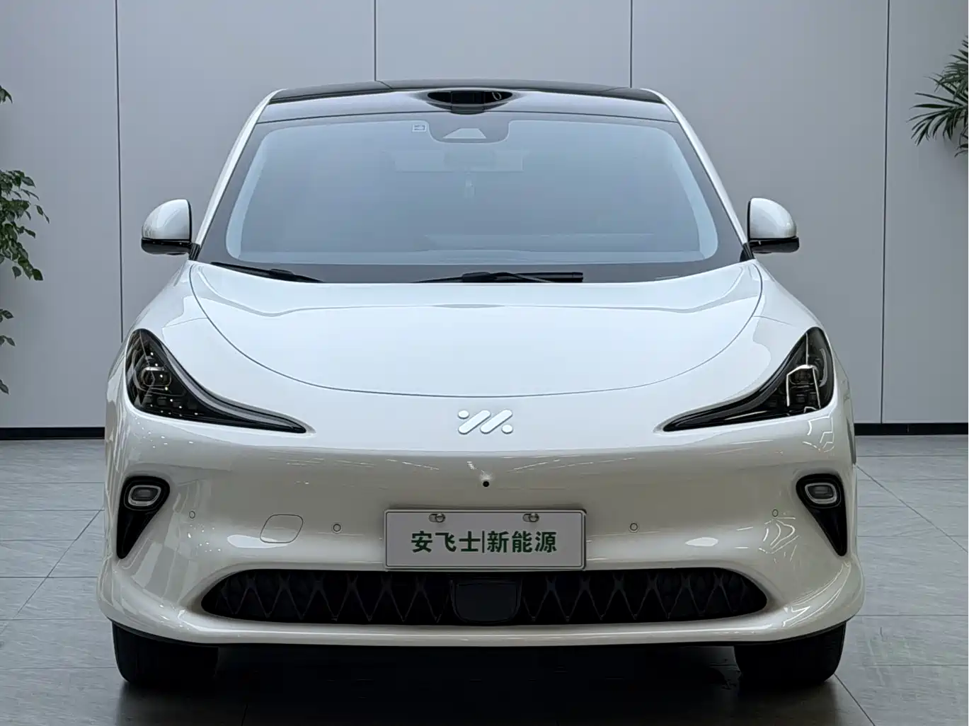 ZHIJI AUTOMOBILE ZHIJI LS6