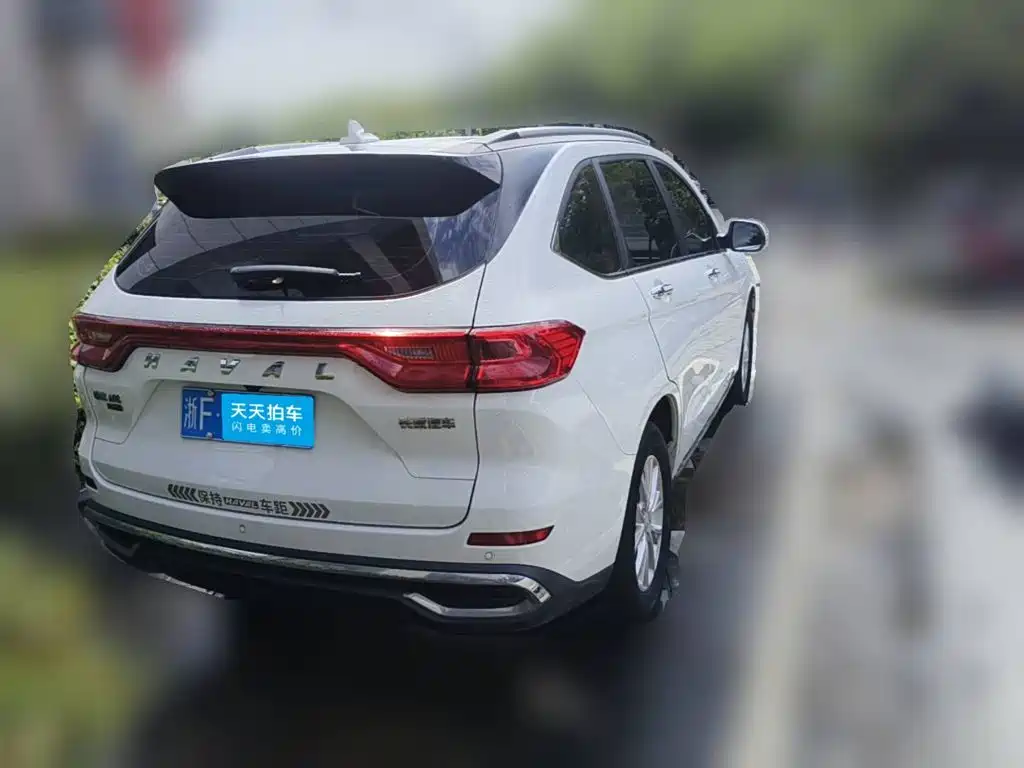 Фото 2 - Haval M6