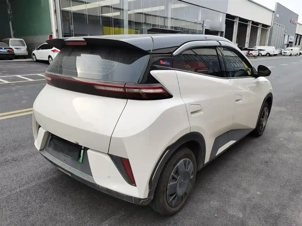 BYD Seagull 2025 Smart Drive Edition 305km Vitality Version фото 7