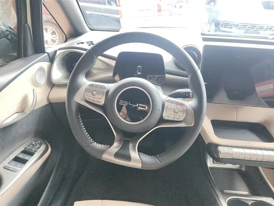 BYD Dolphin 2023 420km Fashion Edition фото 15