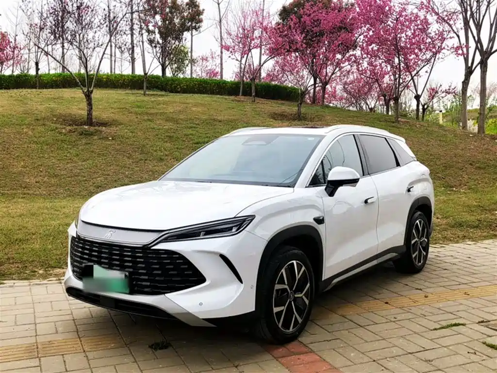 BYD Song L DM-i 2025 Smart Drive 160km Premium фото 2