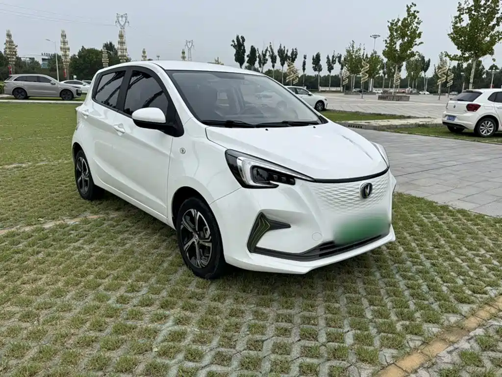 Changan Benben E-Star 2020 2020 Heartbeat Edition (NMC Battery)