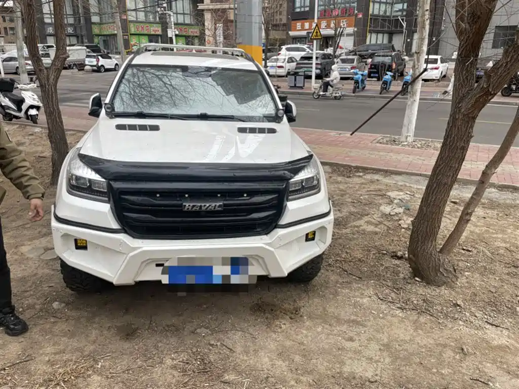 HAVAL H9