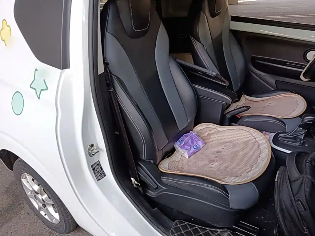 Roewe Kaiwei CLEVER 2023 2022 311km Vitality Bobo Edition