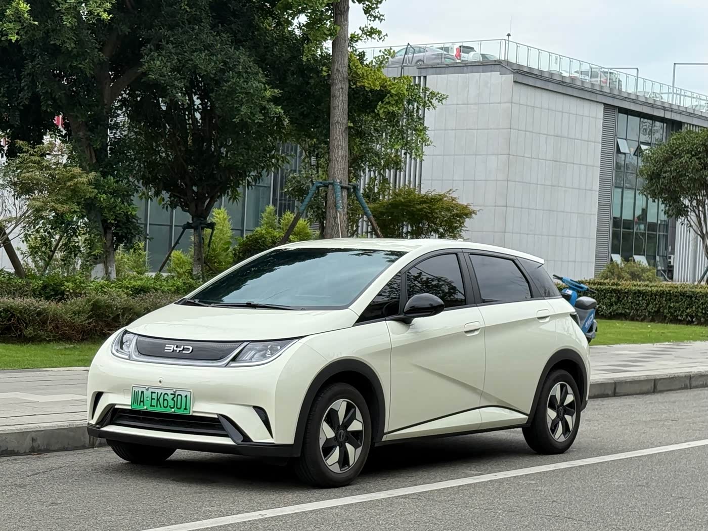 BYD Dolphin