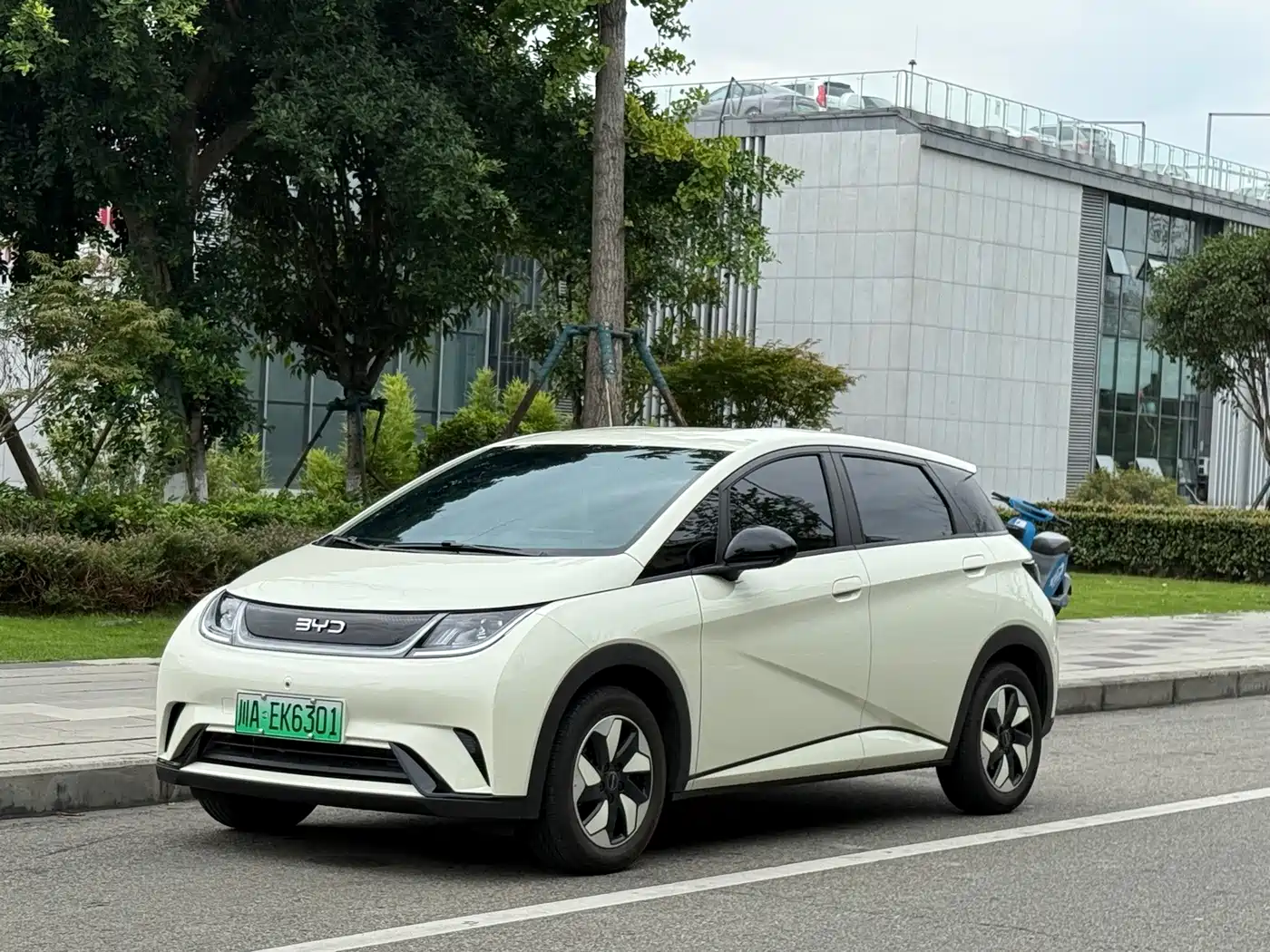 2026 BYD Dolphin
