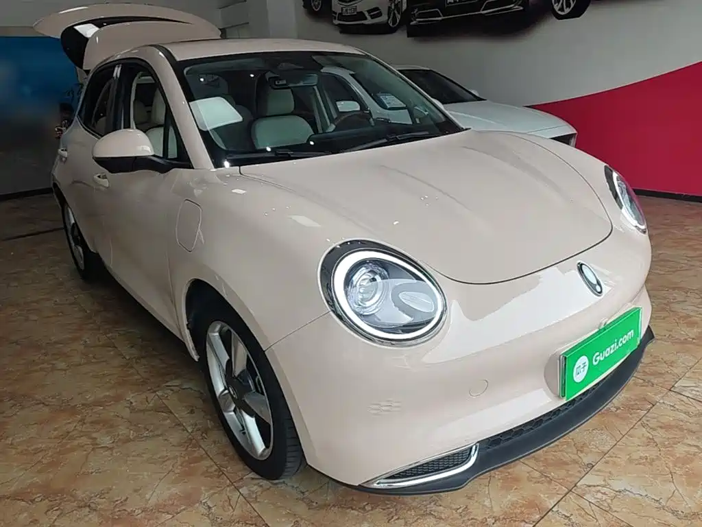 Ora Good Cat GT 2023 2023 Mulan Edition 401km Premium Model