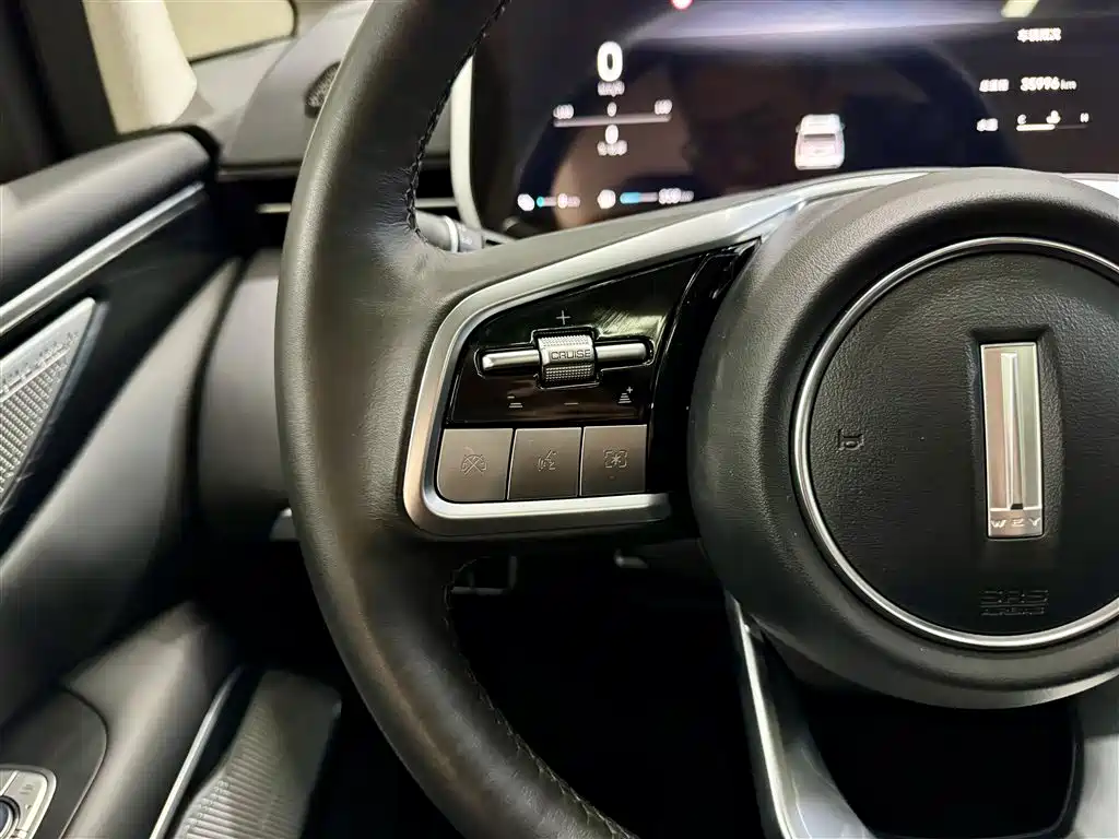 WEY Alpine 2024 2023 AWD Flagship