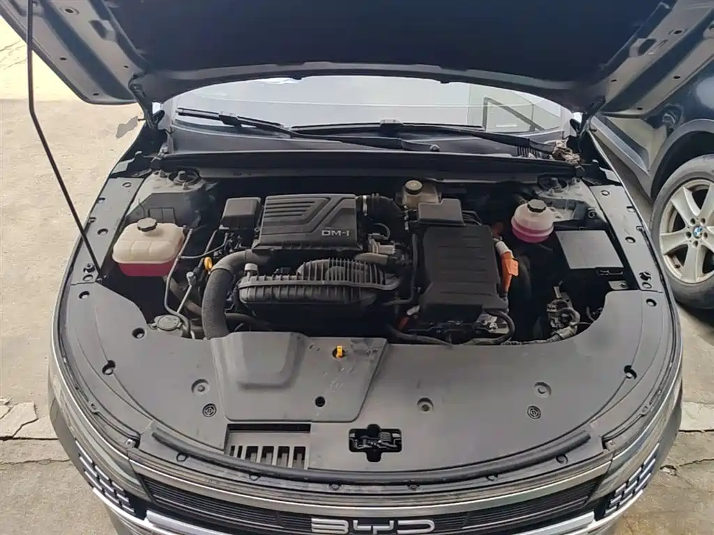 BYD Destroyer 05 2023 Champion Edition DM-i 55KM Luxury фото 20