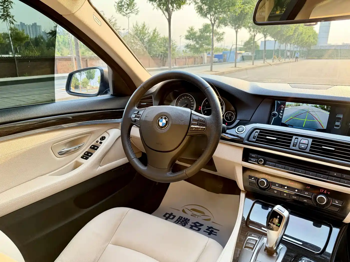 BMW 5 Series 2013 530Li Leadership фото 13