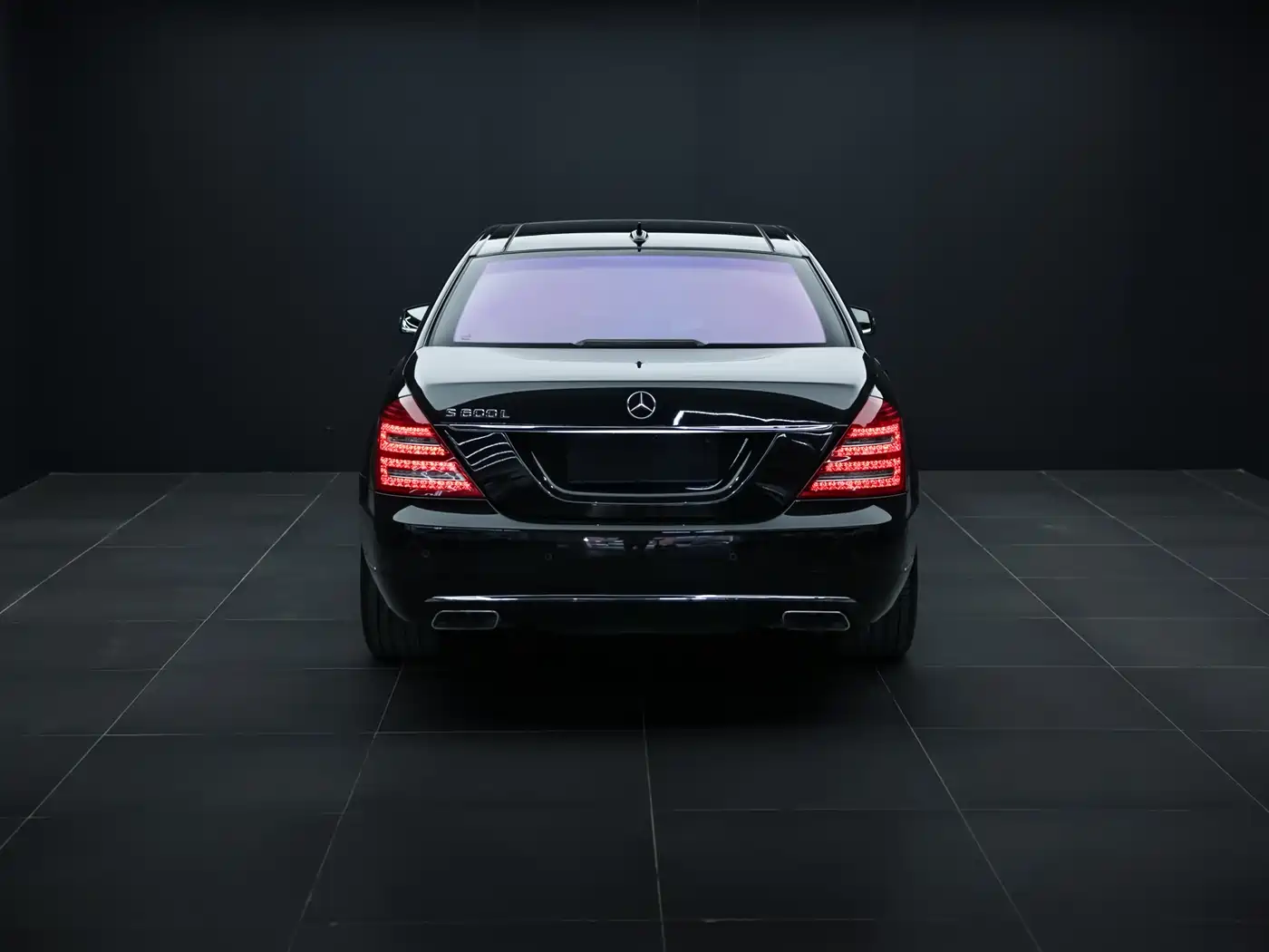 Mercedes-Benz S-Class 2010 S 600 L фото 5