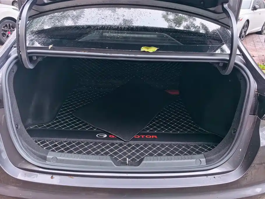 GAC Trumpchi Trumpchi Emkoo 2023 270T DCT J16 Edition фото 4