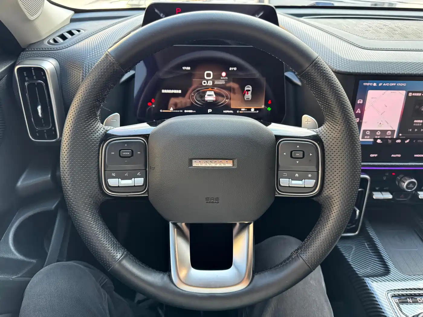Photo 13 - Haval Dargo