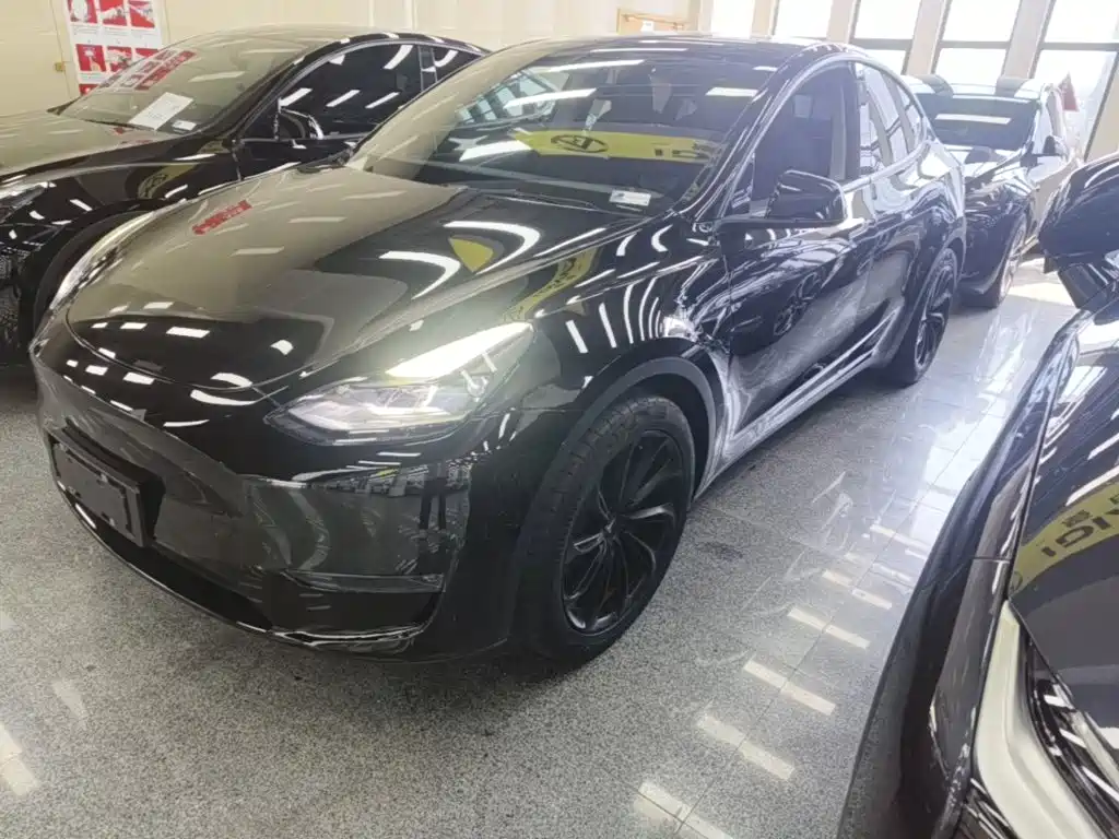  Tesla Model Y 2021 Standard Range Rear-Wheel Drive