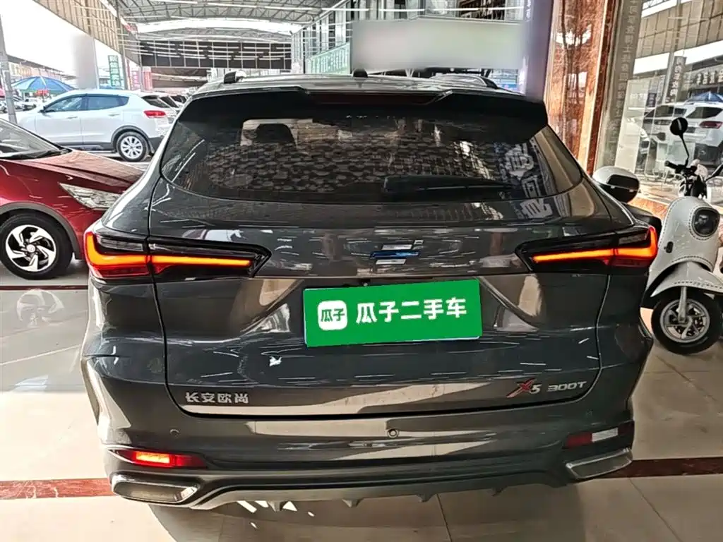 Фото 6 - Changan Oshan Changan Oushang X5