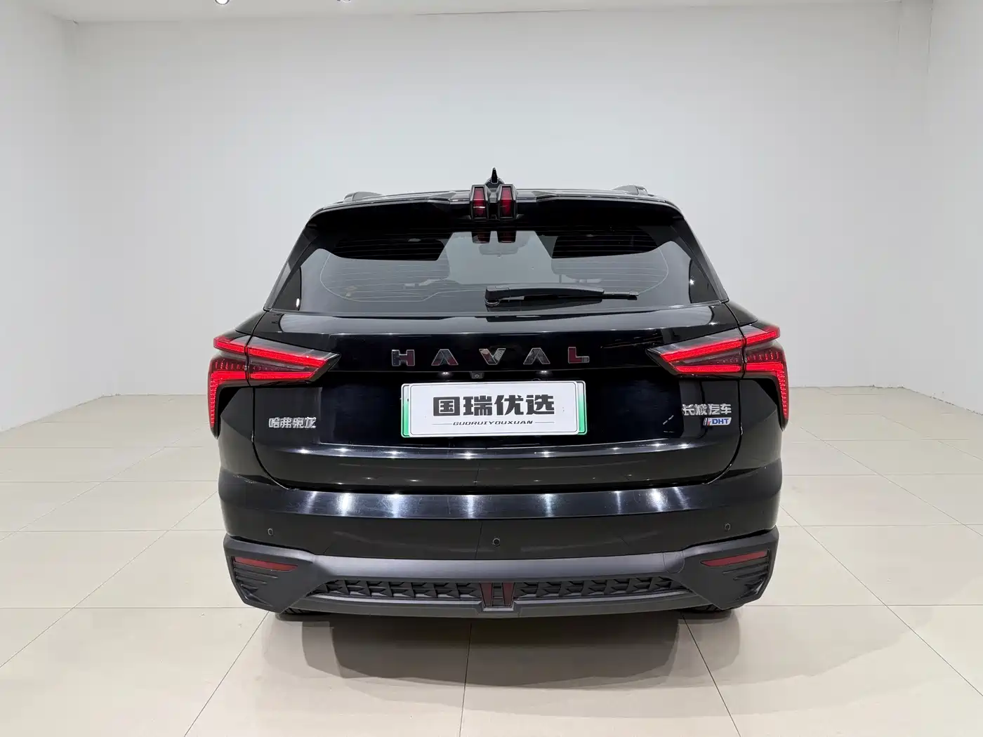 Haval Xiaolong 2024 2023 1.5L 110KM Leading Edition