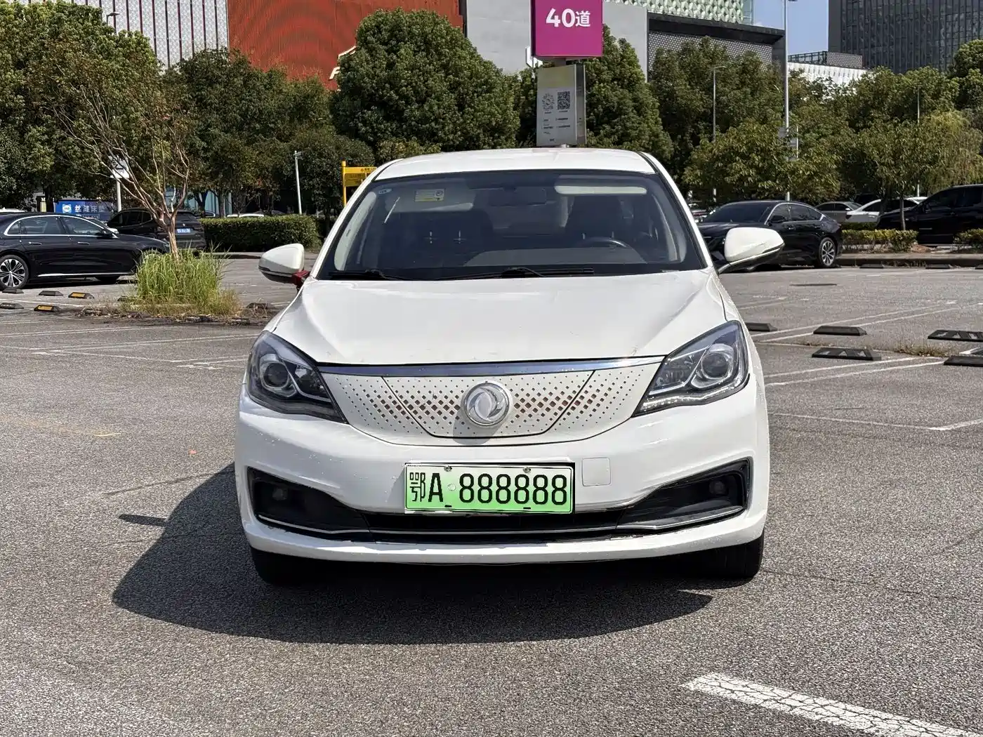 Dongfeng Aeolus Dongfeng Fengshen E70 2021 2021 500 Lite Edition