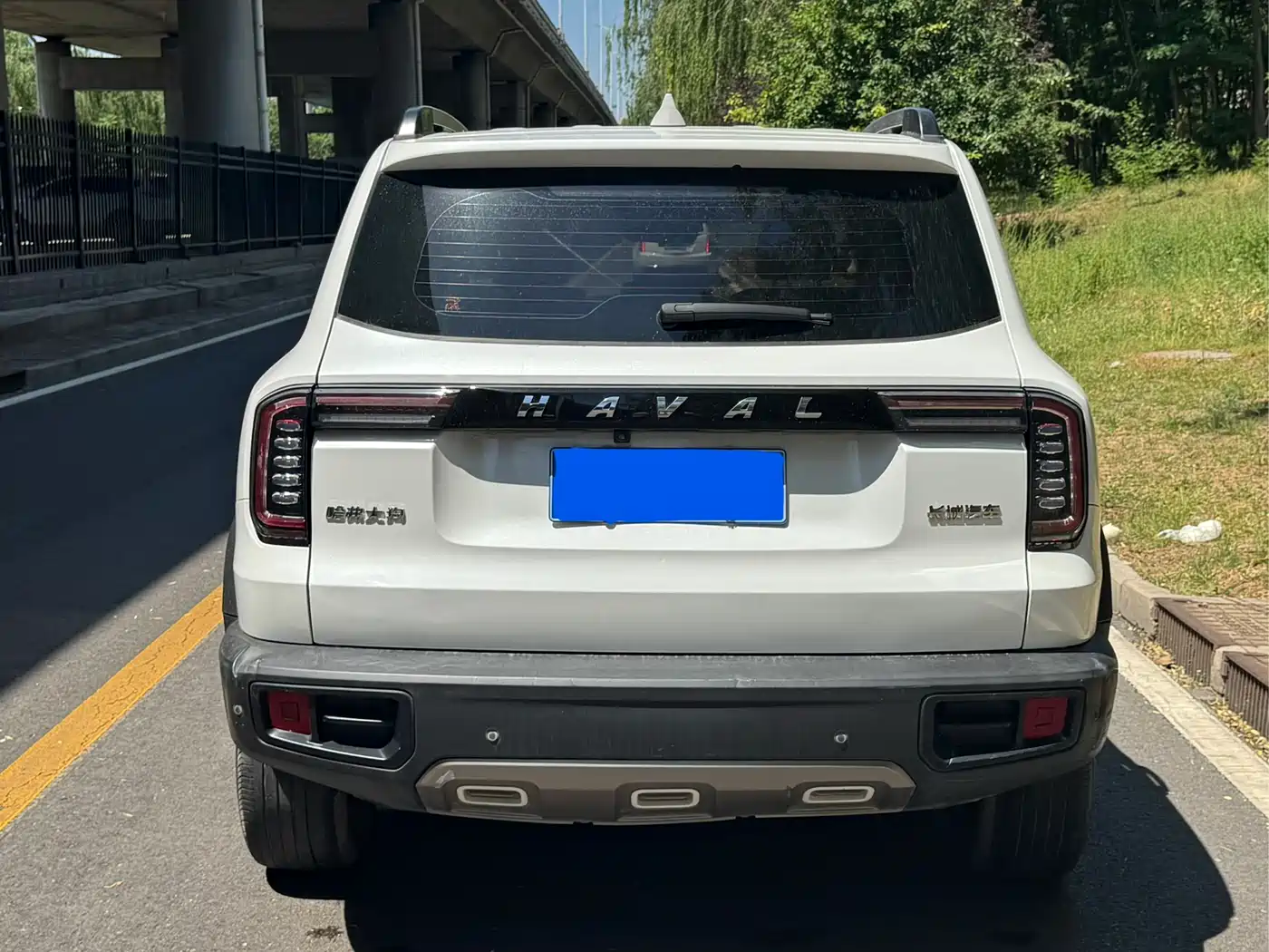 Haval Big Dog 2021 1.5T DCT 2WD Border Collie Edition фото 5