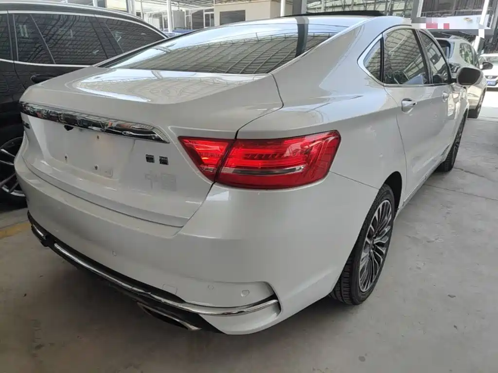 Фото 7 - Geely Borui