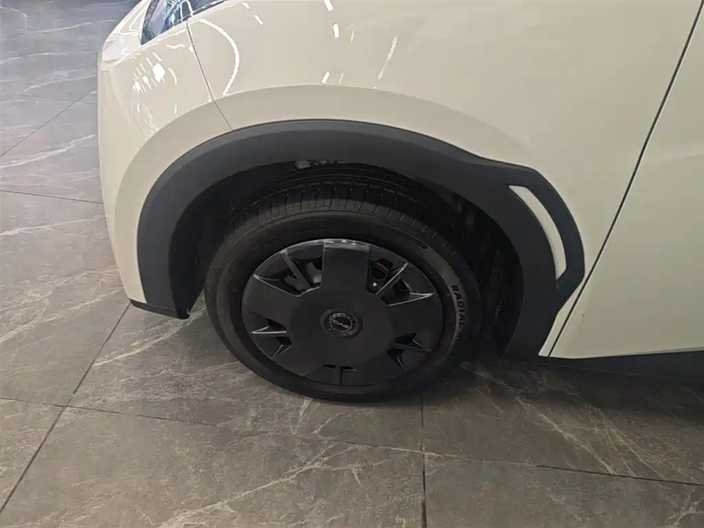 BYD Seagull 2025 Smart Drive Edition 305km Vitality Version фото 23
