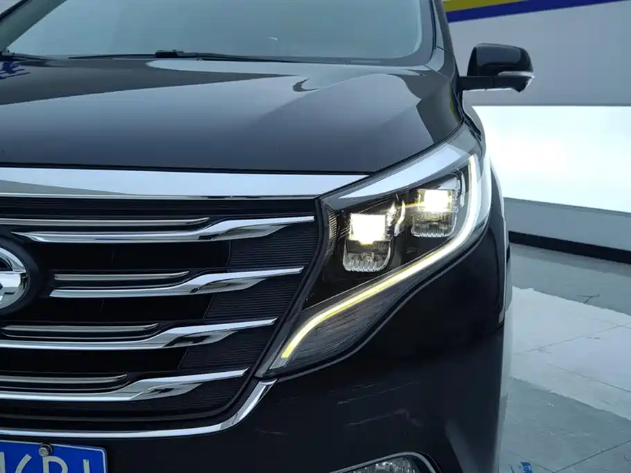 GAC Trumpchi Trumpchi M8 2019 320T Ultimate Edition фото 5