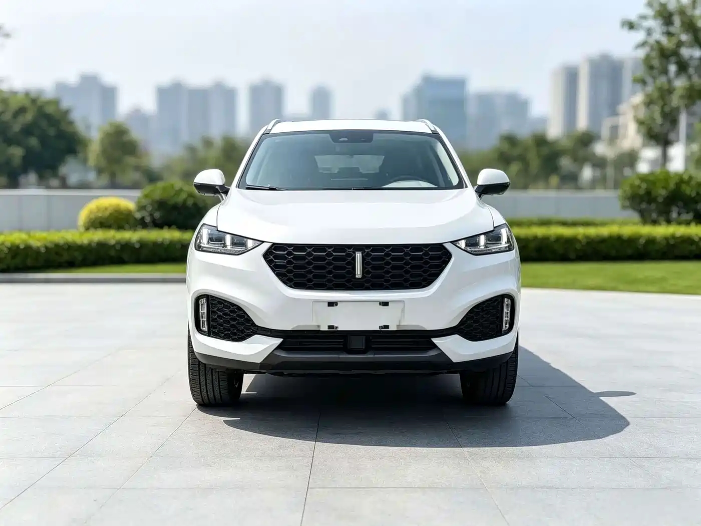 WEY VV6 2019 2018 2.0T 2WD Super Luxury China V