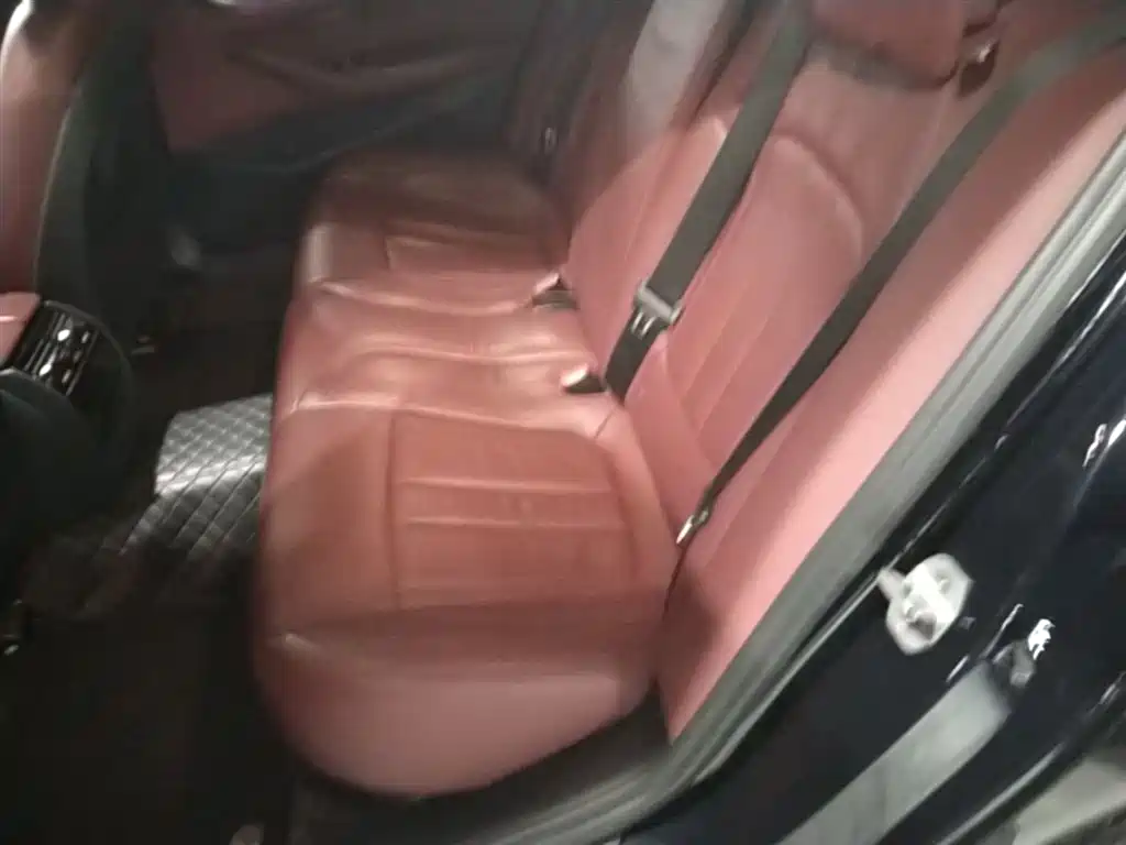 BMW 5 Series 2019 530Li Leading M Sport Package фото 14