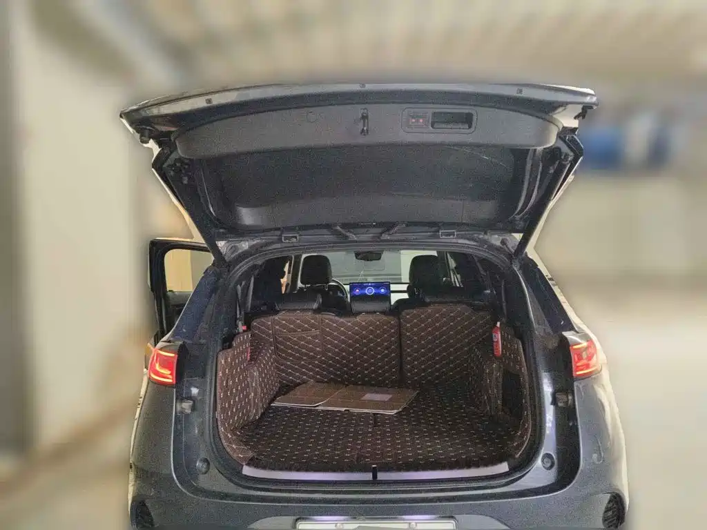 Denza X 2020 2020 PHEV Sport Edition