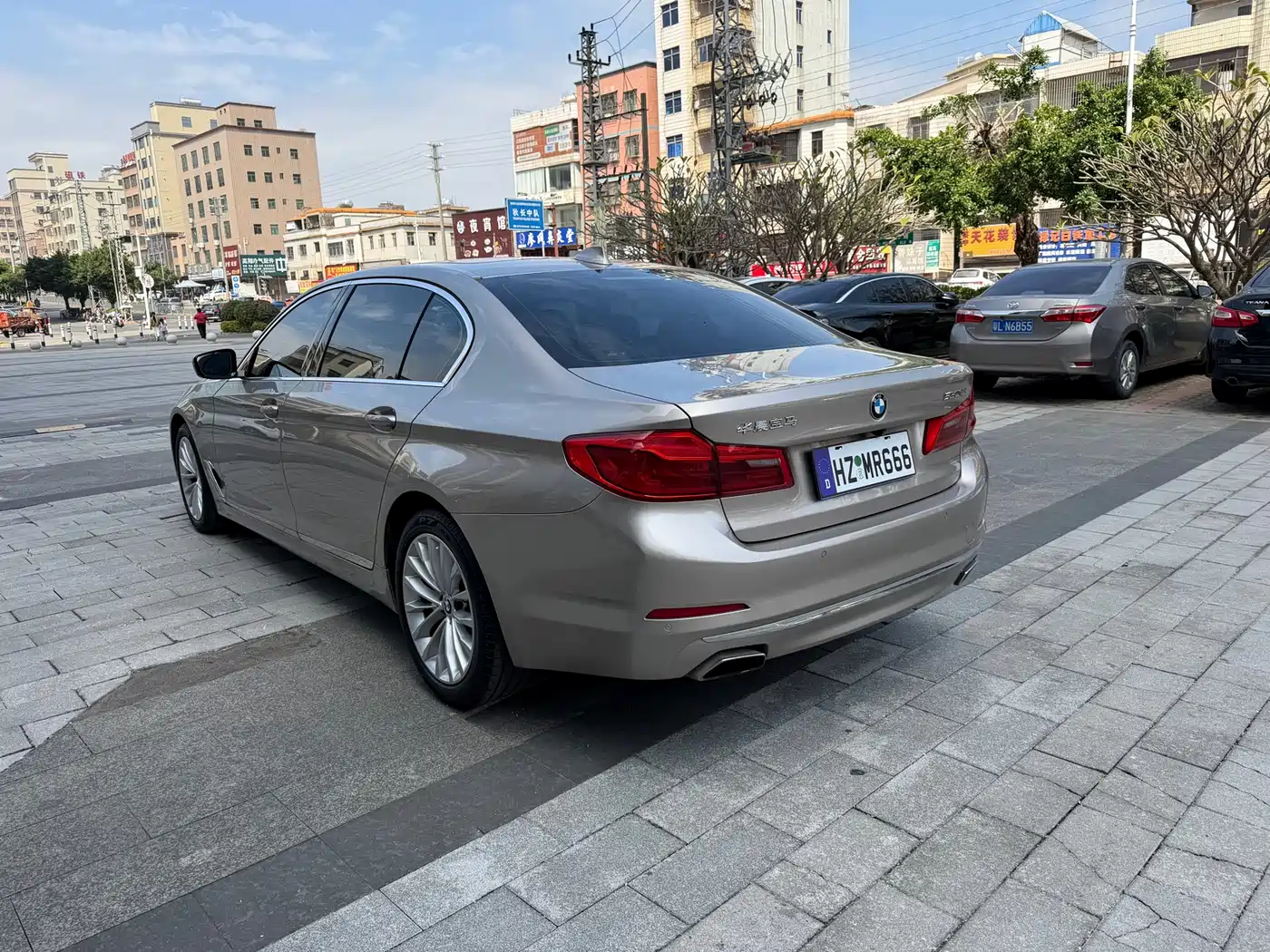 BMW 5 Series 2020 530Li Leading Luxury Package фото 6