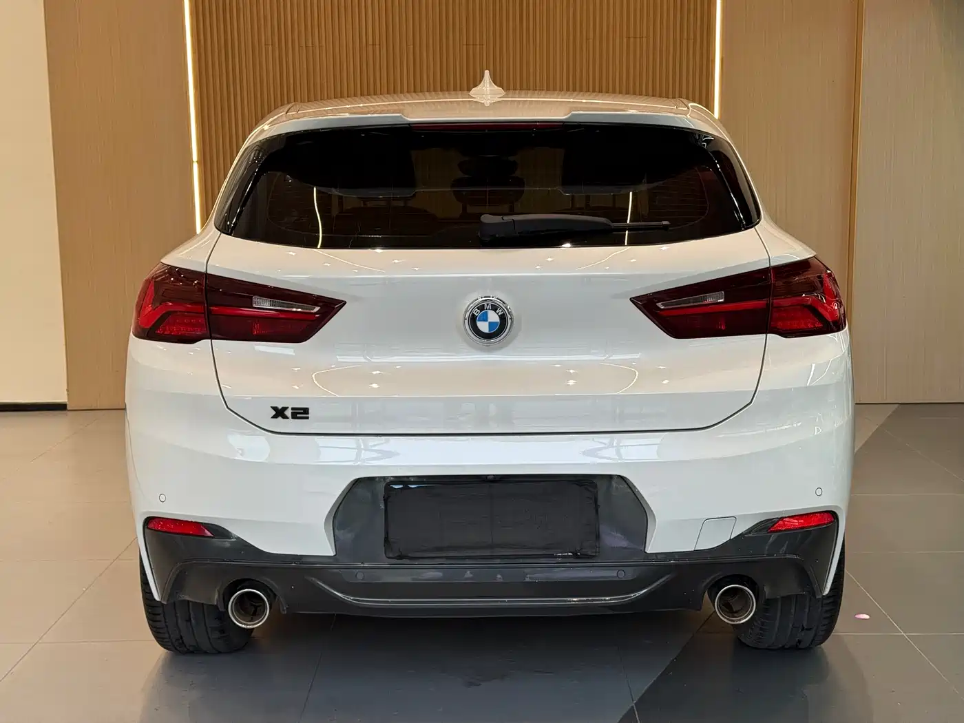 BMW X2 2020 sDrive25i Leading M Sport Package фото 18