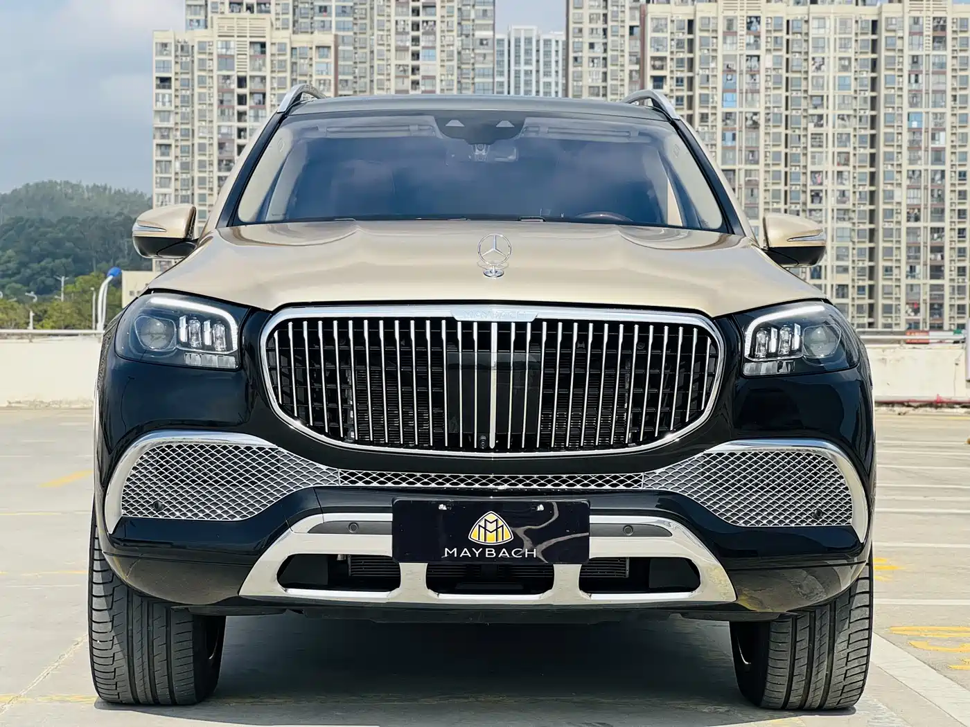 Mercedes-Benz Maybach GLS 2022 GLS 480 4MATIC фото 2