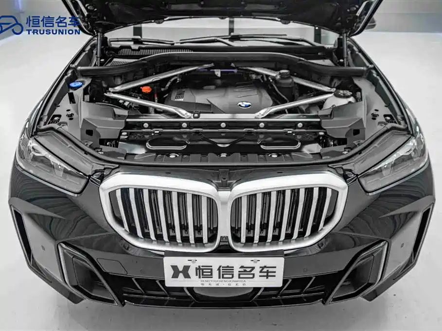 BMW X5 2023 xDrive 30Li Premium M Sport Black Night Package фото 20