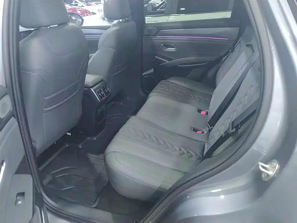 BYD Song L DM-i 2025 Smart Drive 160km Premium фото 17