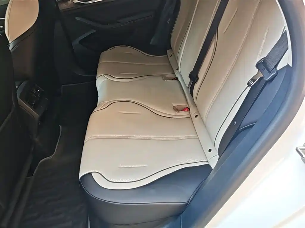 BYD Destroyer 05 2024 Glory Edition DM-i 55KM Luxury фото 17