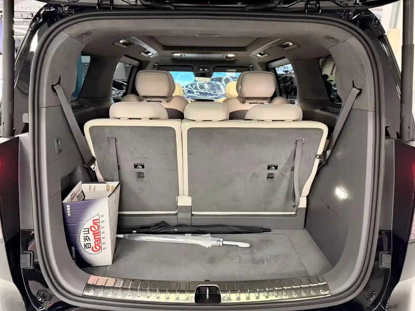 ZEEKR EXTREME KRYPTON 009