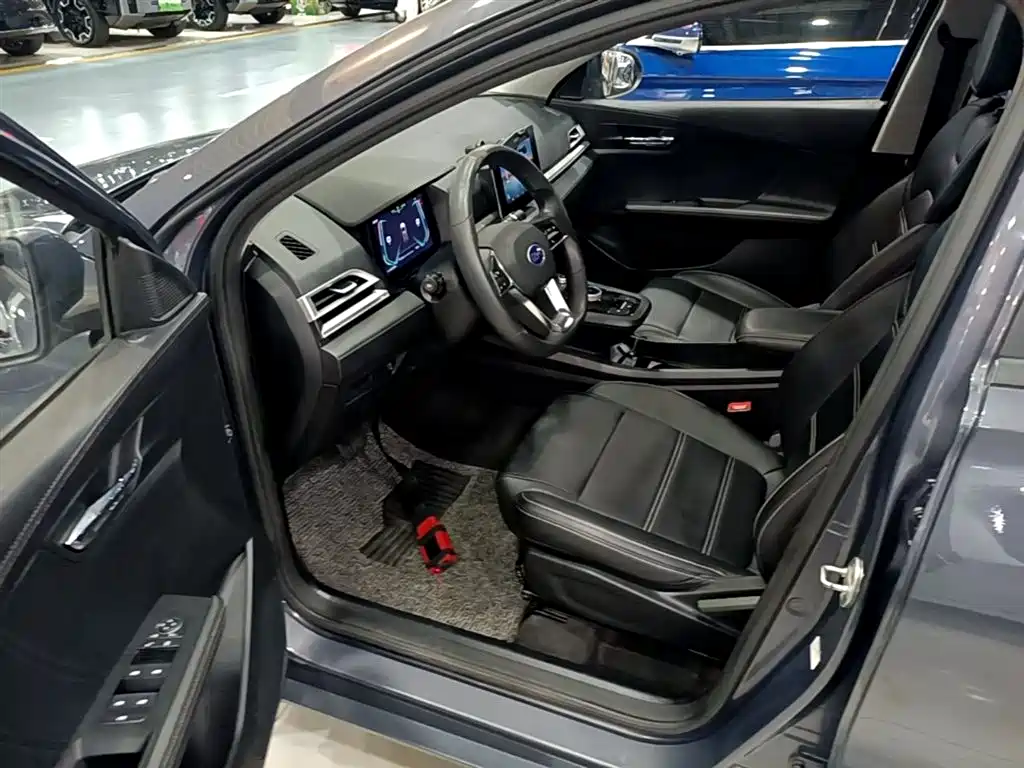 BYD e2 2019 Long Range Yao·Luxury Model фото 16