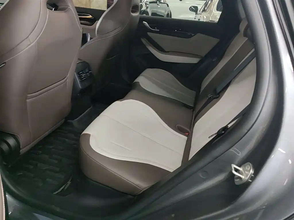BYD Qin PLUS 2024 Glory Edition DM-i 55KM Leading фото 17