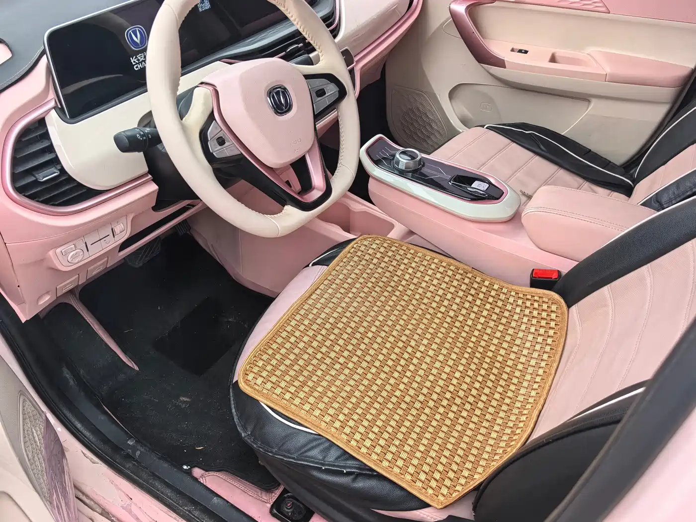 Changan Benben E-Star 2022 2022 Serenity Edition Colorful LFP