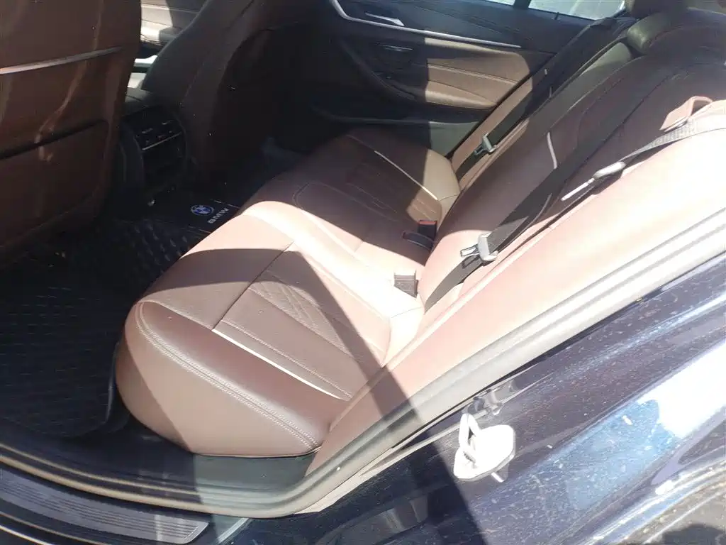 BMW 5 Series New Energy 2021 535Le M Sport Package фото 13