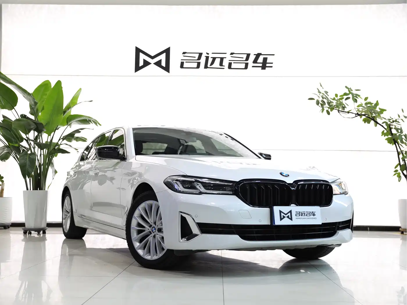 BMW 5 Series 2022 525Li Luxury Package фото 3