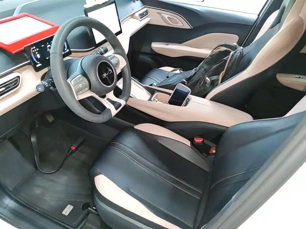 BYD Seagull 2024 Glory Edition 305km Vitality Edition фото 15