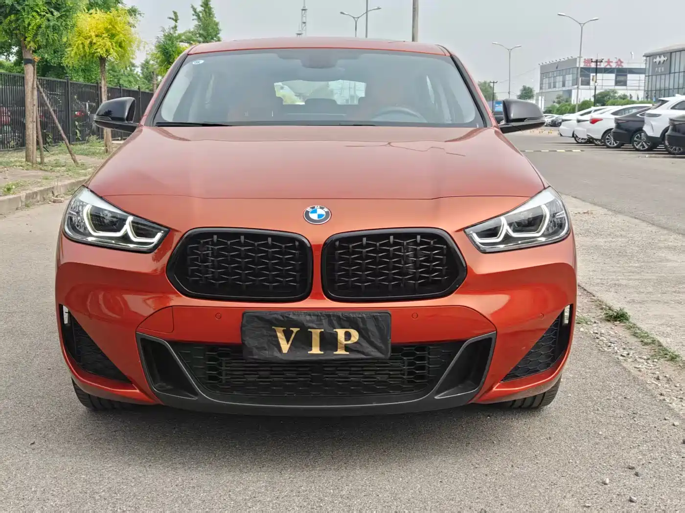 BMW X2 2023 sDrive25i M Off-Road Package фото 2