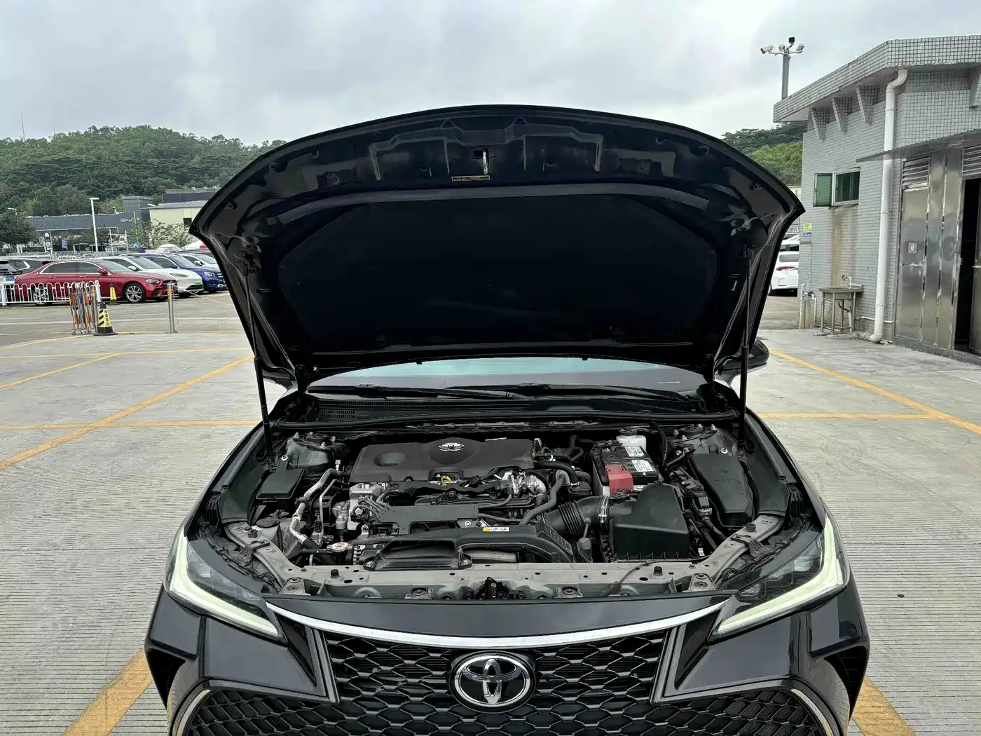 Toyota Avalon 2023 2.5L Luxury Edition фото 15