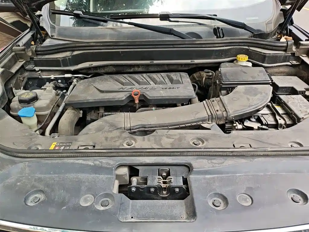 Haval H6 2020 1.5GDIT Automatic Platinum Champion Edition фото 11