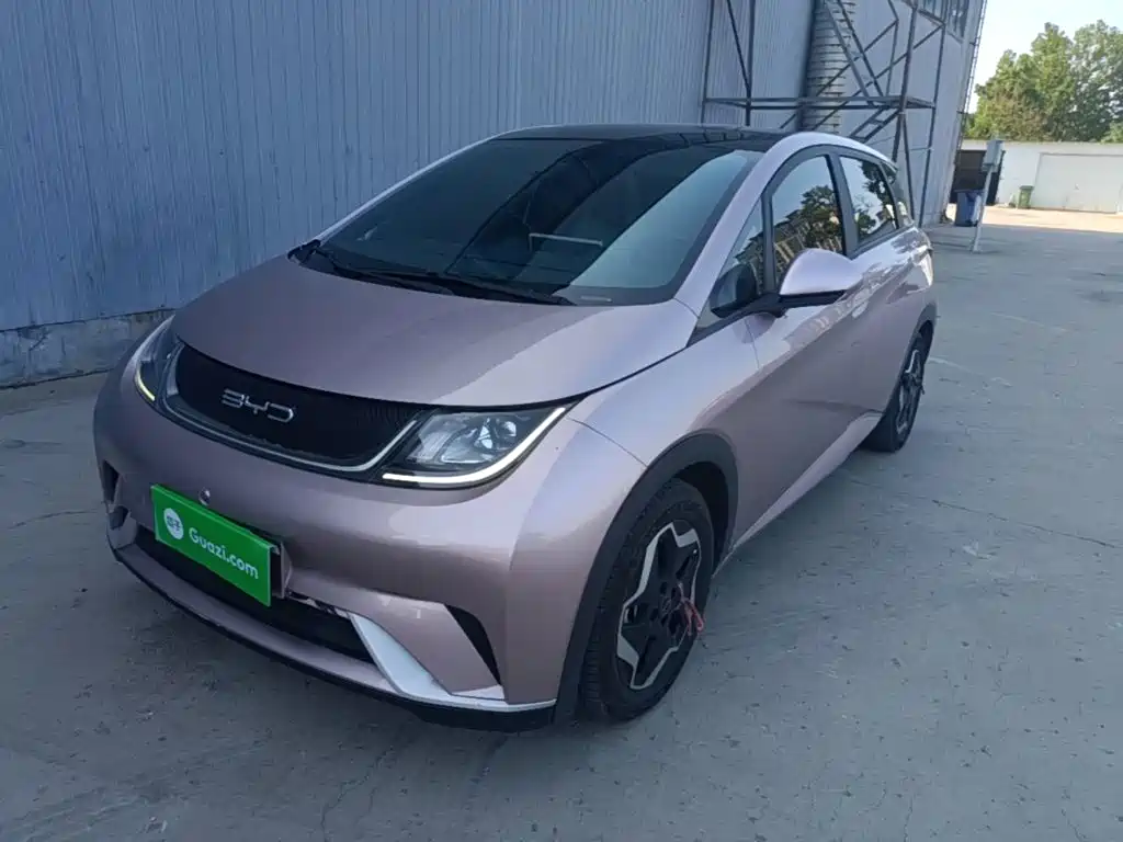 BYD Dolphin 2021